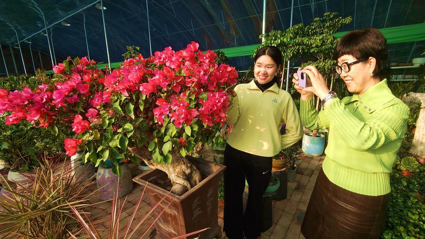 游客在赏花拍照。华岩明摄