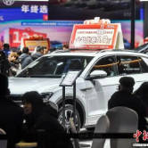 新疆“双12”冬季车展进行时