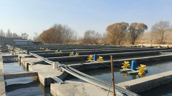 f10329c34fff67a6791d20d1dce326f3