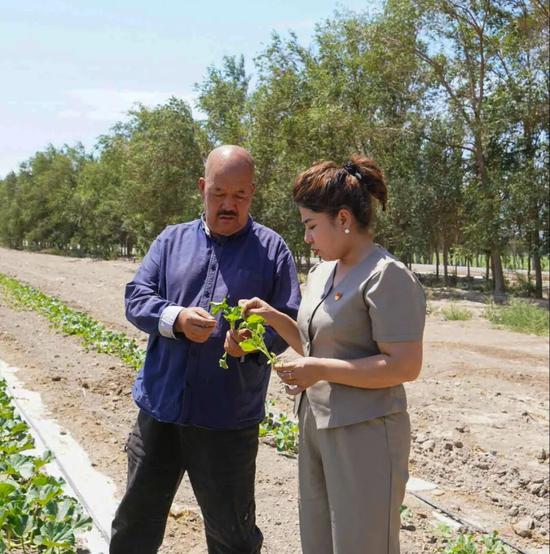 满早然木·吐尔洪深入田间地头查看瓜苗长势。