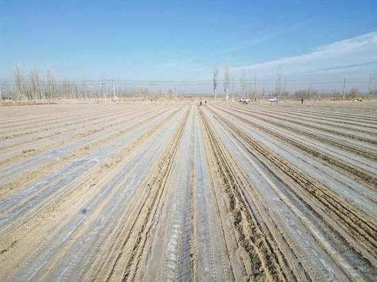 abc23ee7290bdec8cab1ff8bc95c3ec4