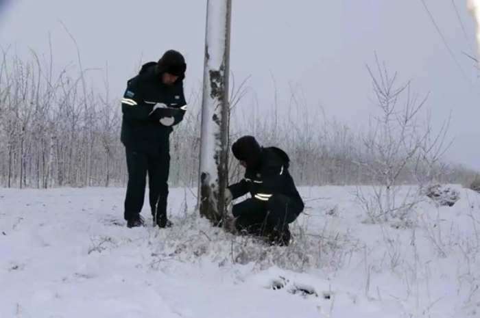 察布查尔县全力应对降雪降温 电力、环卫联动护航安全