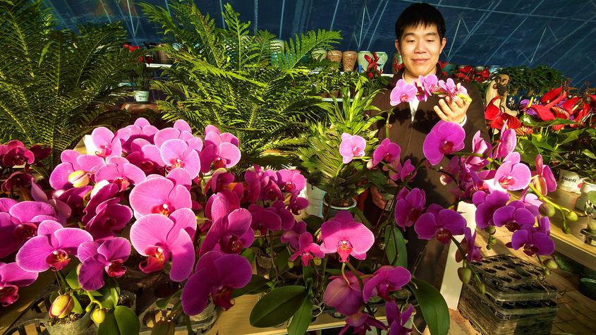 游客在精心赏花。华岩明摄