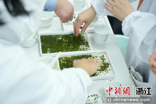 参评茶样。主办方供图 参评茶样。主办方供图