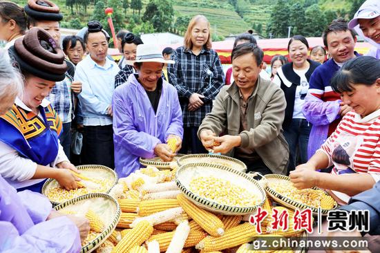 钟山区农业农村局供图