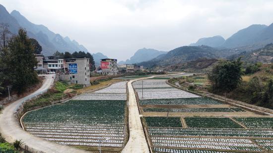 边阳镇兴隆村的高标准农田