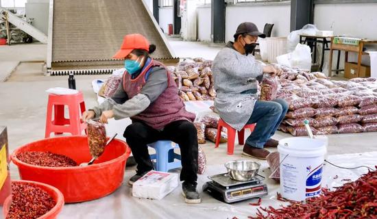 工人在土溪镇大连村辣椒烘干厂包装辣椒。王治文 摄 工人在土溪镇大连村辣椒烘干厂包装辣椒。王治文 摄