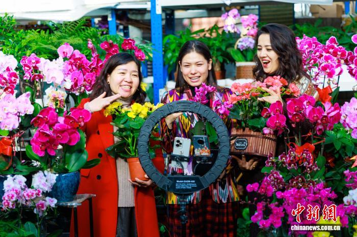 乌鲁木齐：直播助力花卉销售