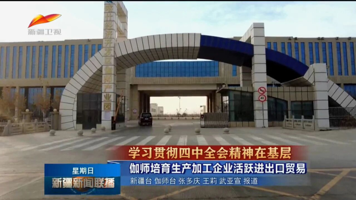 图为视频截图。伽师县融媒体中心供图