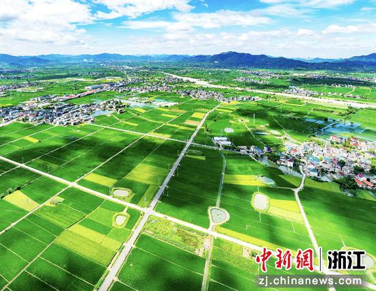 绍兴市上虞区永和镇万亩方项目。浙江省自然资源厅供图