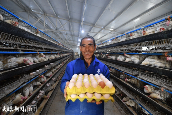 松桃蛋鸡养殖户展示新收获的鸡蛋。(受访者供图) 松桃蛋鸡养殖户展示新收获的鸡蛋。(受访者供图)
