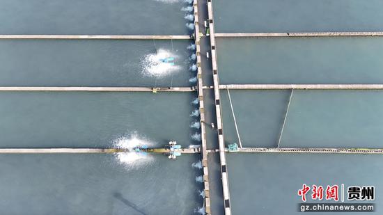 鱼池间距均等,如琴键般整齐排列。陈昆 摄 鱼池间距均等,如琴键般整齐排列。陈昆 摄