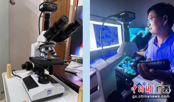 普通显微镜(左图)和孟令章博士手持特定波长的光源(右图) 普通显微镜(左图)和孟令章博士手持特定波长的光源(右图)
