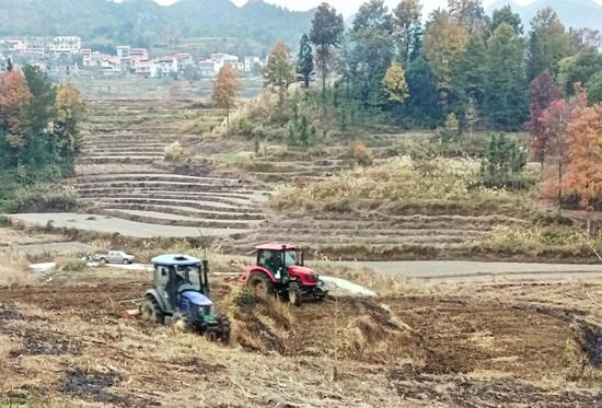 图为烟农正在使用农机冬翻。杨绍基 摄 图为烟农正在使用农机冬翻。杨绍基 摄