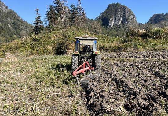 图为烟农在使用犁耕机冬翻。韦常月 摄 图为烟农在使用犁耕机冬翻。韦常月 摄