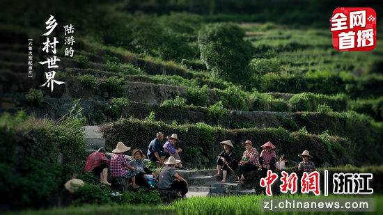 《田垄之间》 供图 《田垄之间》 供图