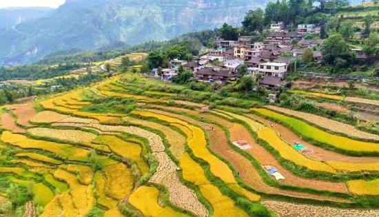 天门村梯田 天门村梯田