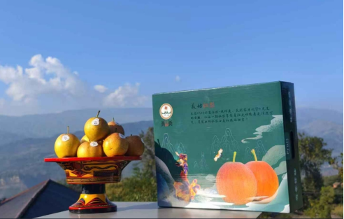 美姑红梨及礼盒包装。