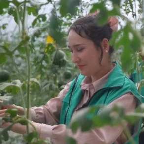 布哈力齊·斯迪克：我在“蔬樂”種西瓜