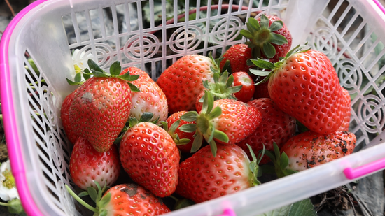 22d0434cfdf1999dadf8e3e2348da235