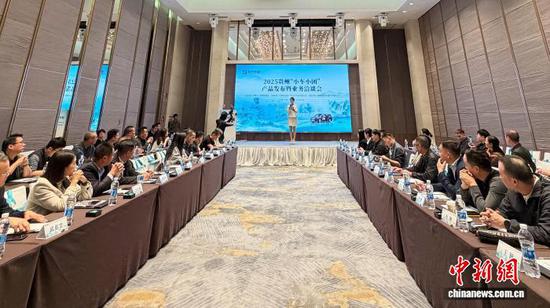 会议现场。王坚 摄