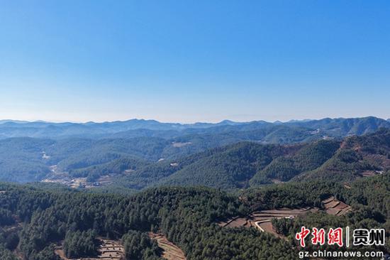 12月19日，威宁自治县哲觉镇林海一角。卯升林 摄