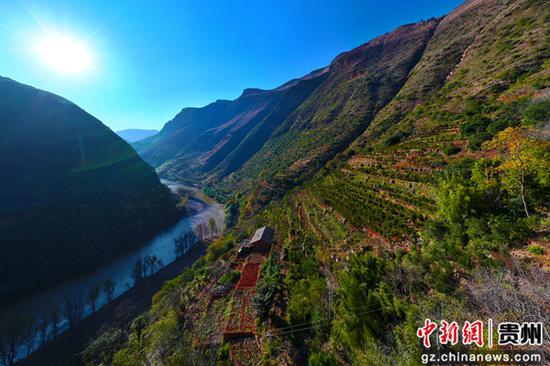 12月18日，威宁自治县海坪村橘子种植基地一角。卯升林 摄