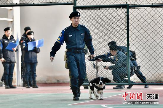 图为特警队员开展警犬服从性及作业展示。北京铁路公安局天津公安处供图 图为特警队员开展警犬服从性及作业展示。北京铁路公安局天津公安处供图