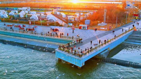 图为游客于天津东疆亲海公园观赏海鸥群。（天津东疆文化和旅游局供图）