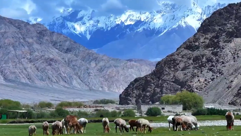 一个喀什男孩眼中的深圳援疆故事