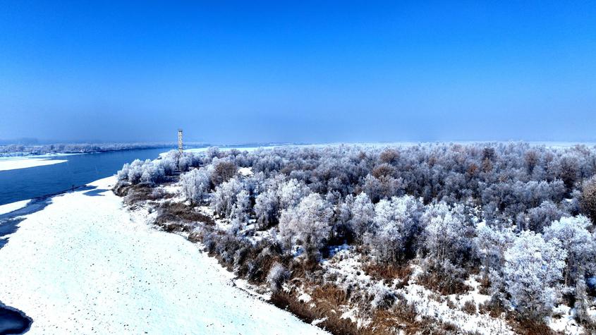 新疆莎车：雾凇美景上线 宛如冰雪童话世界