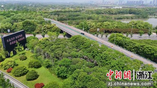 申苏浙皖高速湖州互通。浙江沪杭甬&nbsp;供图