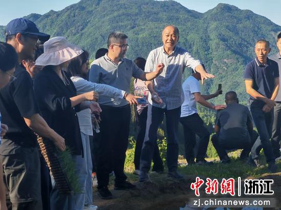 徐承标和专家现场讨论培育农业新项目。 浙高运公司 供图 徐承标和专家现场讨论培育农业新项目。 浙高运公司 供图