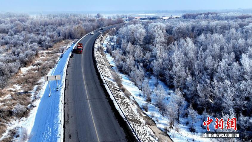 新疆莎车县叶尔羌河畔出现雾凇美景
