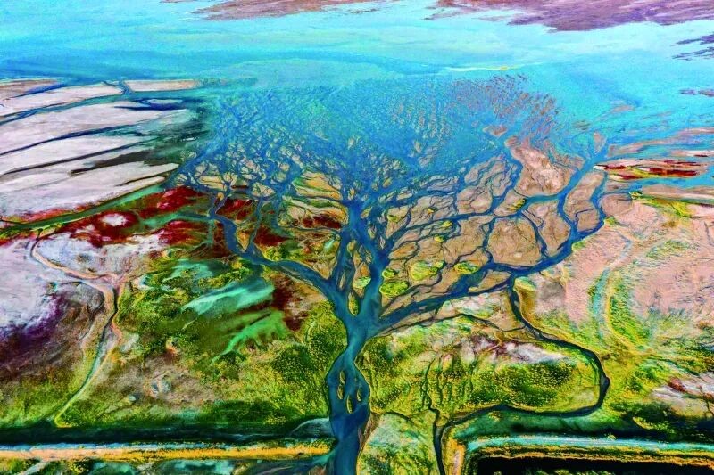 新疆艾比湖湿地国家级自然保护区。来源：博尔塔拉融媒体中心图库

