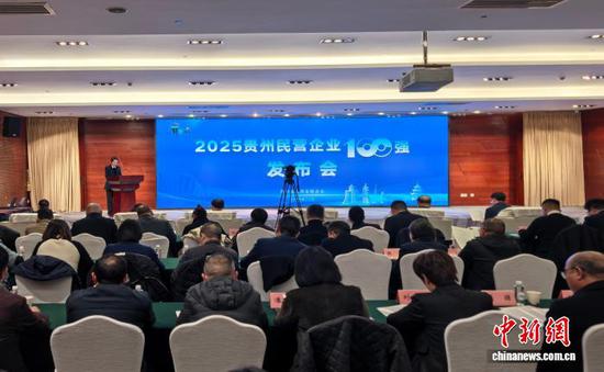 图为发布会现场。中新网记者张伟摄