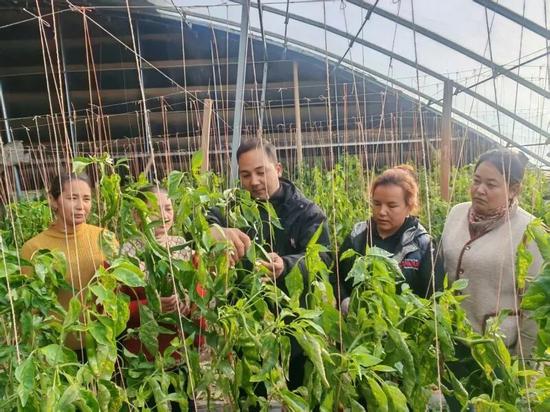 吾不力喀斯木在给指导技术。古丽阿亚提 摄