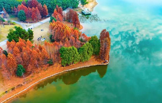 金满湖省级湿地公园&nbsp;胡赣昌/摄