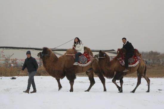 游客体验骑骆驼。阿的拉 摄a