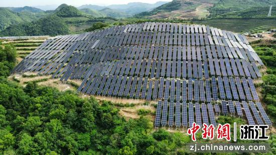 中拓新能源承建的茶光互补EPC项目。 浙商中拓 供图 中拓新能源承建的茶光互补EPC项目。 浙商中拓 供图