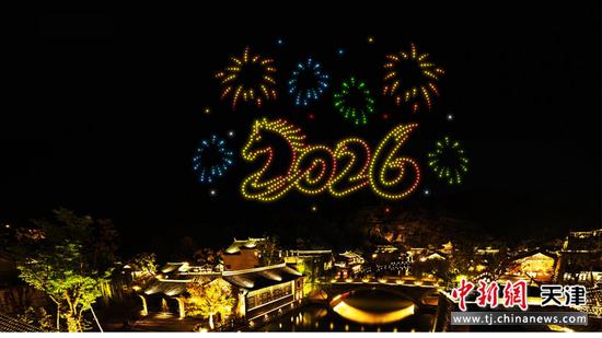 资料图。(主办方供图)