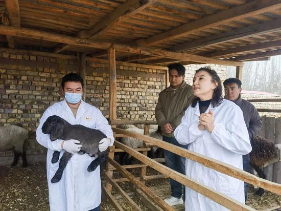 50524c171fee8c7fcd857c8ac5892207