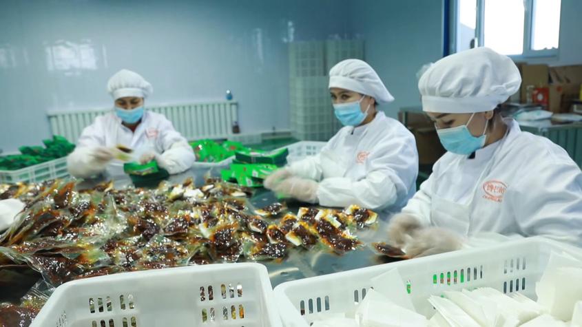察布查尔县：农牧产品加工企业加紧生产奋力冲刺全年生产目标