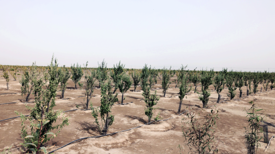 ca5cb8808da6aaa43cd81a6f663eab60