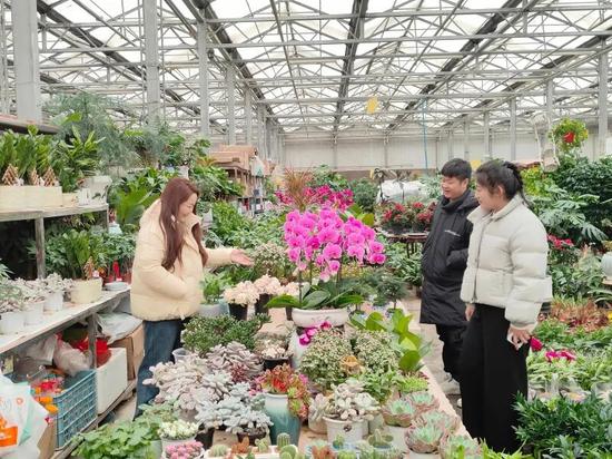 顾客正在挑选花卉。伊尔番 摄