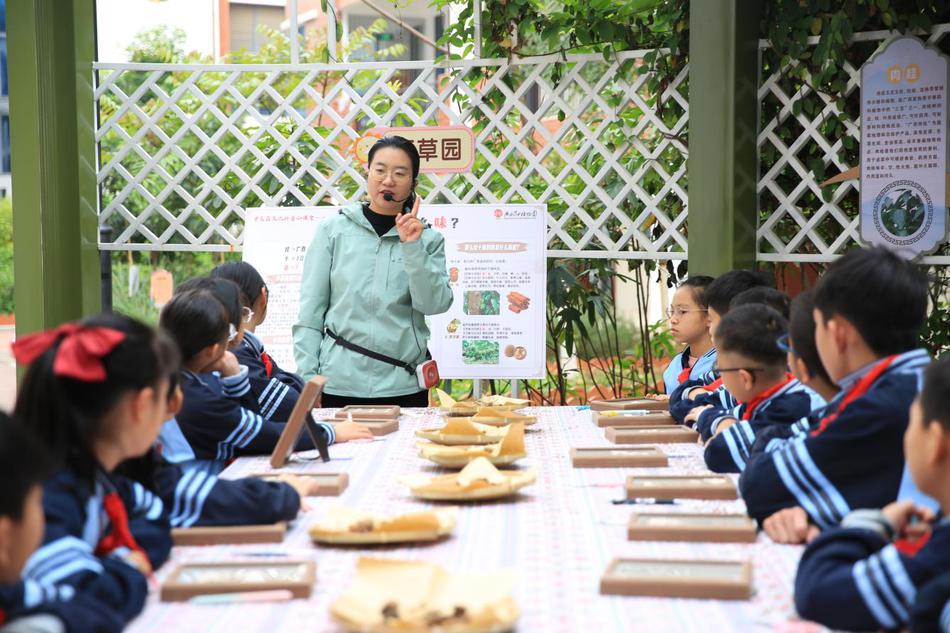 广西药用植物园精品研学案例荣获二等奖