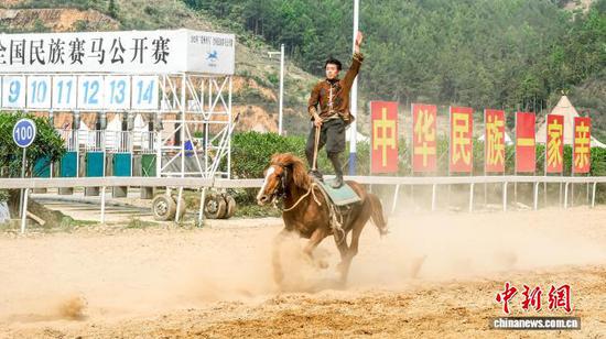图为贵州省黔南布依族苗族自治州三都水族自治县西部赛马城的骑手表演特技。陈洋昕摄 图为贵州省黔南布依族苗族自治州三都水族自治县西部赛马城的骑手表演特技。陈洋昕摄