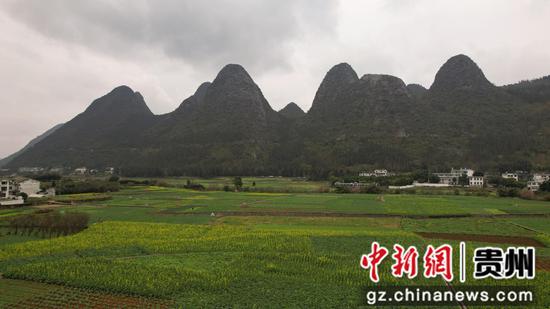 1月1日航拍贵州黔西南布依族苗族自治州兴义万峰林，油菜花局部盛开。李和江 摄