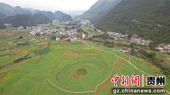 1月1日航拍贵州黔西南布依族苗族自治州兴义万峰林，油菜花局部盛开。李和江 摄