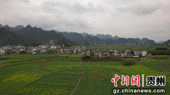 1月1日航拍贵州黔西南布依族苗族自治州兴义万峰林，油菜花局部盛开。李和江 摄